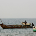 Sierra Leone's Waters of Life