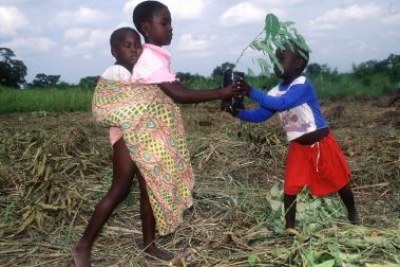 Ghana: les enfants plantent une nouvelle génération d'arbres