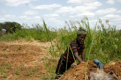 Huku Balambal checks an irrigation ditch he built in southern Ethiopia.
