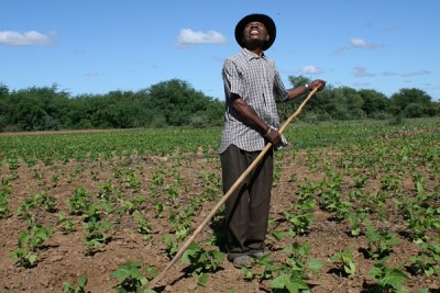 A Madagascan farmer keeps his eyes on the weather.