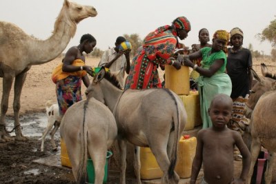 Animals gather around a pump as women fill jerry cans with water to take to their homes some 15 km away.
