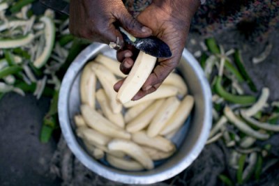 A woman cooks a meal: Mozambique is piloting a low-carbon cooking project.