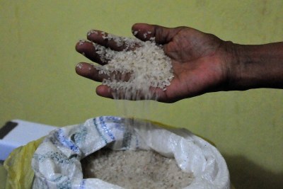 Rice seed (file photo)