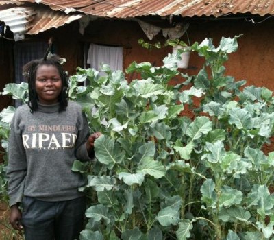 Sack_Gardening_in_Kibera's_Slums