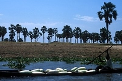 Bassin du Nil