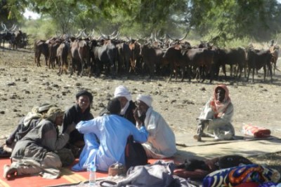 Herders sit near their cattle in Marsabit, northern Kenya (file photo).