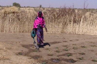 Fatna Bakhit from northern Chad lost most of her crops due to poor harvest.