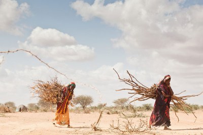 Le changement climatique entraîne des déplacements croissants en Afrique, où des régions sont ravagés par la sécheresse