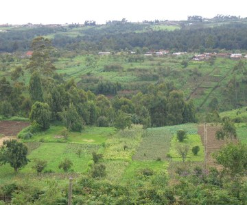 Alliance Building to Increase Farm Production and Restore Land