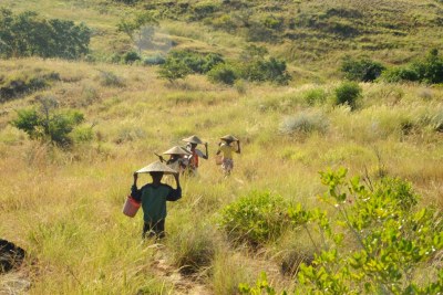 Des cas de peste pulmonaires seraient recensés dans un village situé au nord de Madagascar