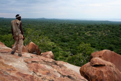 Tanzania's Hadza homeland: Deep green woodland. (file photo).