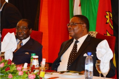 Mugabe and Mutharika in discussion during a luncheon at Mtunthama.