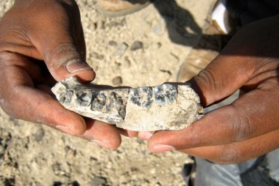 Scientists have unearthed the jawbone of what they claim is one of the very first humans. The 2.8 million-year-old lower jawbone was found in the Ledi-Geraru research area, Afar Regional State, by Ethiopian student Chalachew Seyoum.