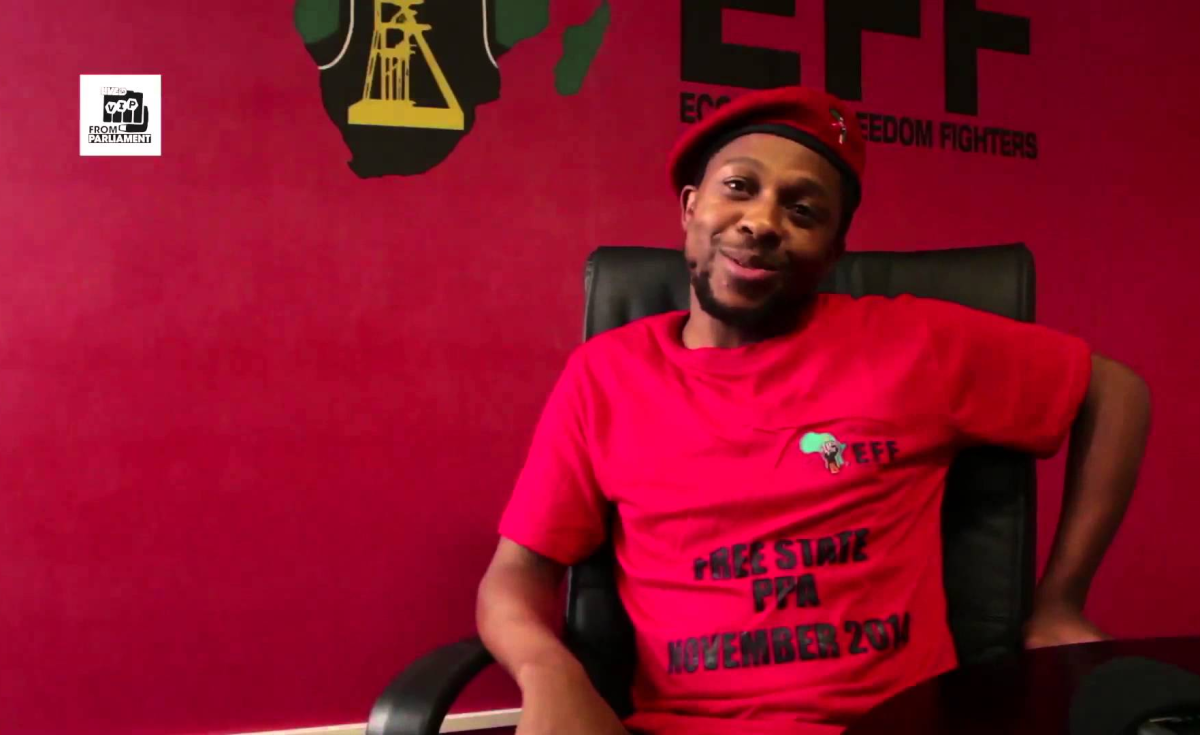 Malema thesis 08 image