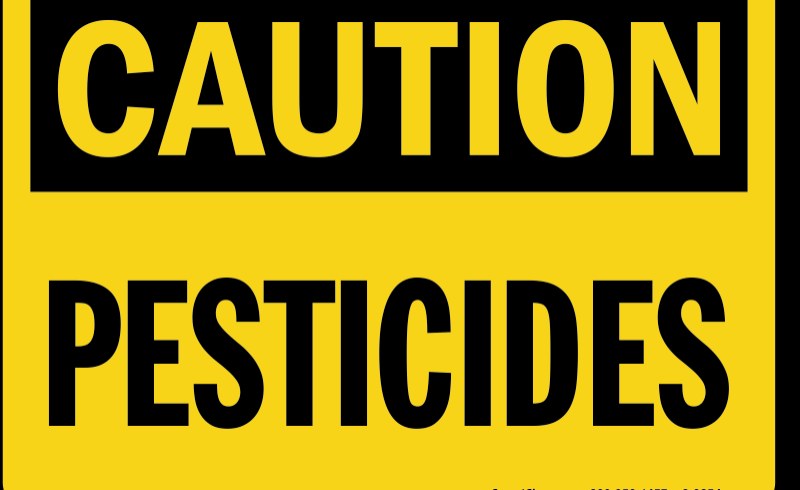 South Africa: Govt Warned of Toxic Pesticide Threat - South African News Briefs - November 22, 2024