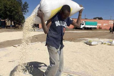 Malawi is requesting for maize in the wake of a severe food shortage following a prolonged dry spell (file photo).