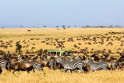 A view at one of Tanzania National Parks.