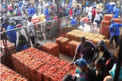 Des tomates au marché.