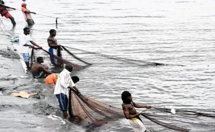 Tanzania: Special Report - How Illegal Fishing Is Killing Factories in the  Lake Zone - allAfrica.com