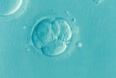 Infertility affects women and men equally, experts say.