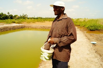 Senghore feeding the fish in one of his ponds.