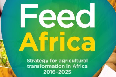 Launched in August 2016, Feed Africa is a renewed and determined effort to transform African Agriculture into a globally competitive, inclusive and business-oriented sector that creates wealth, generates gainful employment and improves quality of life. It also seeks to bring to scale existing and successful initiatives
across Africa and beyond. The Strategy further echoes the commitments made under the Comprehensive African Agricultural Development Program (CAADP) as articulated in the Maputo (2003) and the Malabo (2014) Declarations.