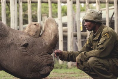 According to the Ol Pejeta Conservancy, it is believed the rhino, Sudan, died after age-related complications.