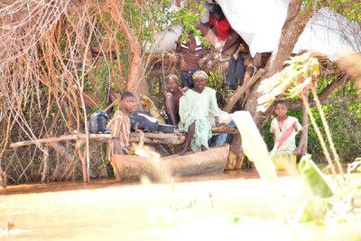 A family marooned by floods seeks refuge on trees in Tana Delta on April 22, 2018 as they wait to be evacuated.