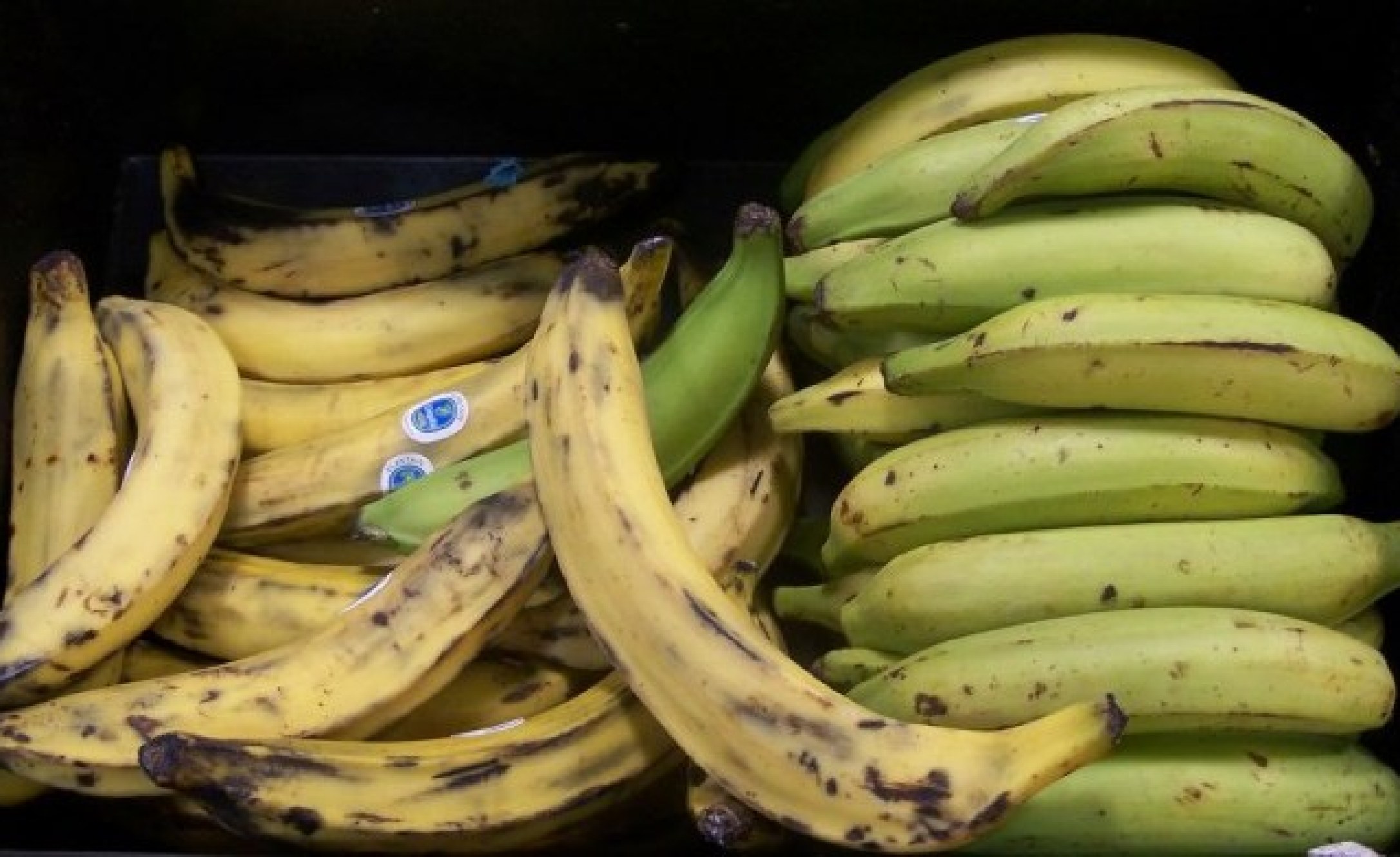 Liberia Plantain Shortage Likely to Hit Liberia