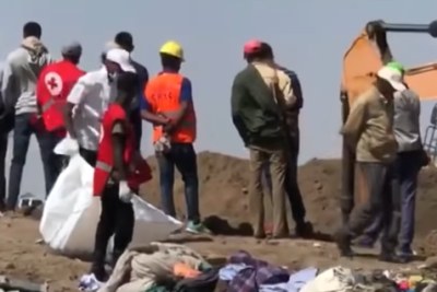 The scene of the Ethiopian Airlines plane crash (file photo).