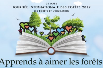 Journée internationale des forêts 2019