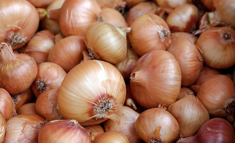 Nigeria Why Price of Onions Skyrocketed Across Nigeria