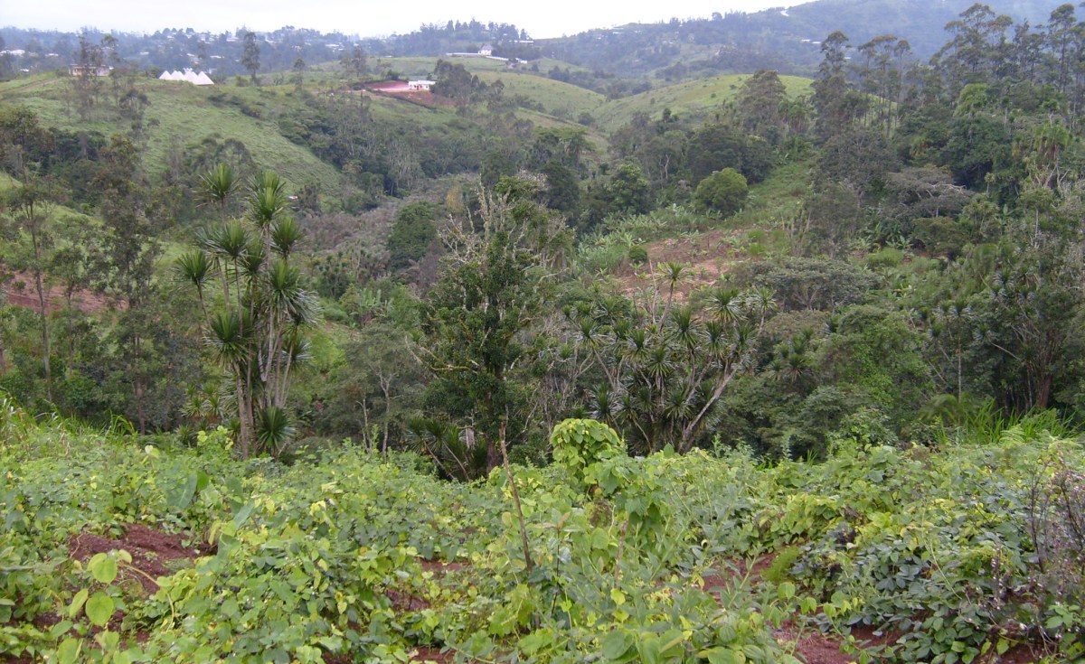 Africa: Developing Countries Battle Climate Change, While the Wealthy Make Frozen Pledges – Will COP27 Usher a New Era? Africa: Developing Countries Battle Climate Change, While the Wealthy Make Frozen Pledges – Will COP27 Usher a New Era?