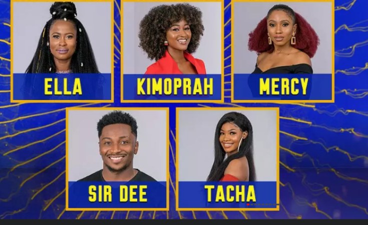 Big brother naija 2019 pepper dem live stream hot sale