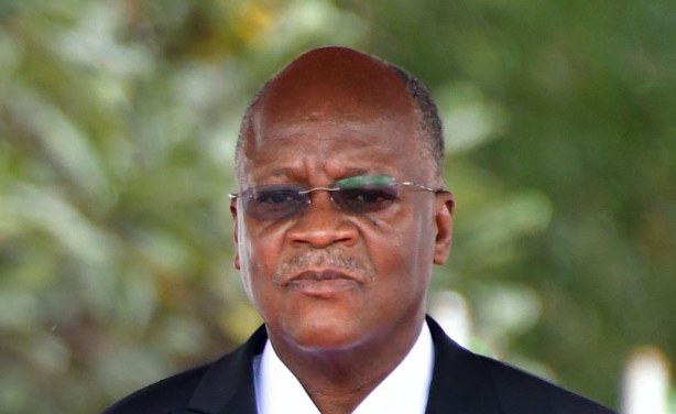 Magufuli Sacks Home Affairs Minister For Unsanctioned Deal Allafrica Com
