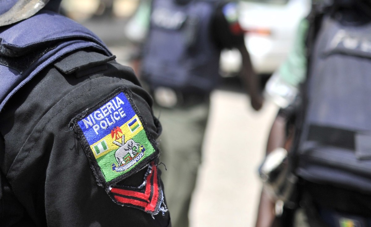 Nigeria 5 Facts About the New Tactical Team 'SWAT'