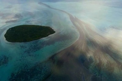 The Ile aux Aigrettes nature reserve, home to rare species, is only two kilometres away from the Wakashio ship leaking oil in Mauritius' lagoons.
