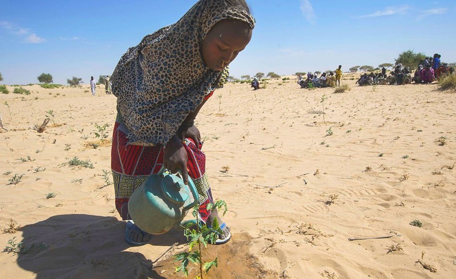 África: la mayor parte del mundo estará más seco de lo normal en 2021: OMM