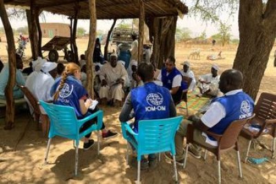 Des équipes de l'OIM évaluent les besoins de réfugiés soudanais à la frontière entre le Tchad et le Soudan.