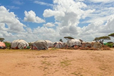 View of Dagahaley refugee camp in Dadaab (file photo).