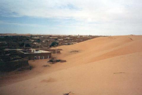 Creeping Sand Dune