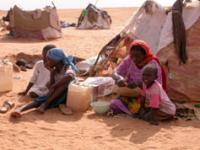 African Union Panel on Darfur